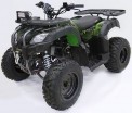   MOWGLI  ATV 200 LUX blackstep -  .      - 