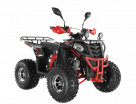  Wels ATV THUNDER EVO 125  s-dostavka  -  .      - 