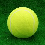 Мяч для большого тенниса самый дешёвый s-dostavka - магазин СпортДоставка. Спортивные товары интернет магазин в Йошкар-Ола 