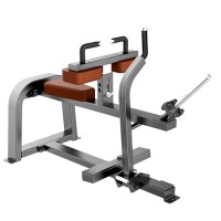       DHZ Fitness T1062 proven quality -  .      - 