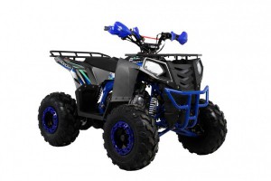 Квадроцикл Wels ATV THUNDER EVO 125 s-dostavka Серый - магазин СпортДоставка. Спортивные товары интернет магазин в Йошкар-Ола 